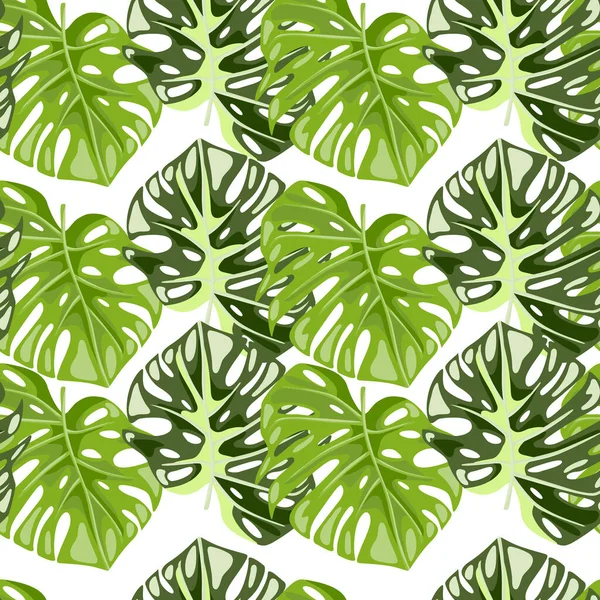 Monstera Laisse Motif Sans Couture Plantes Exotiques Jungle Papier Peint — Image vectorielle