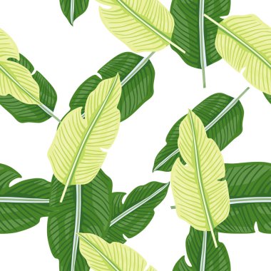 Tropikal yaprak dikişsiz desen. Egzotik yaprak arka planı. Orman bitkileri sonsuz duvar kağıdı. Yağmur ormanları çiçek arkaplanı. Kumaş, tekstil baskısı, ambalaj, kapak tasarımı. Vektör illüstrasyonu