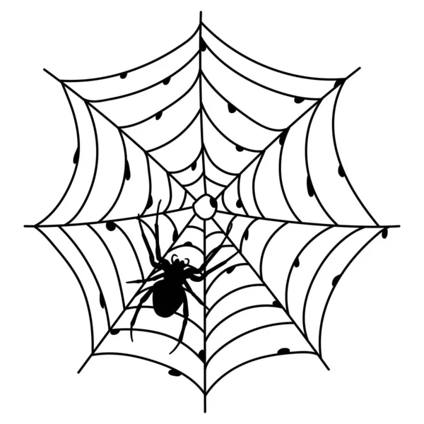 Eng Zwart Spinnenweb Geïsoleerd Wit Spookachtige Halloween Decoratie Schets Spinnenweb — Stockvector