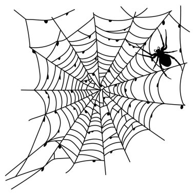 Beyazda izole edilmiş korkunç siyah örümcek ağı. Korkunç cadılar bayramı süsü. Örümcek ağı taslağı. Tasarımınız için dekoratif unsur: Parti için bayram posteri, davetiye kartı, satış. Vektör illüstrasyonu
