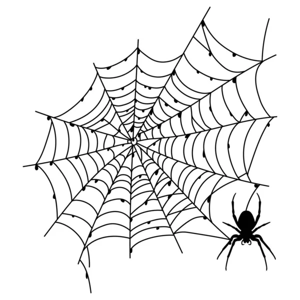 Ijesztő Fekete Pókháló Elszigetelt Fehér Kísérteties Halloween Dekoráció Vázold Fel Jogdíjmentes Stock Illusztrációk
