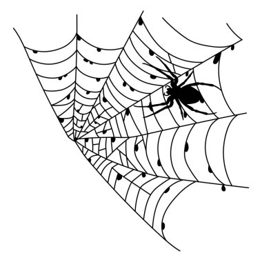 Beyazda izole edilmiş korkunç siyah örümcek ağı. Korkunç cadılar bayramı süsü. Örümcek ağı taslağı. Tasarımınız için dekoratif unsur: Parti için bayram posteri, davetiye kartı, satış. Vektör illüstrasyonu