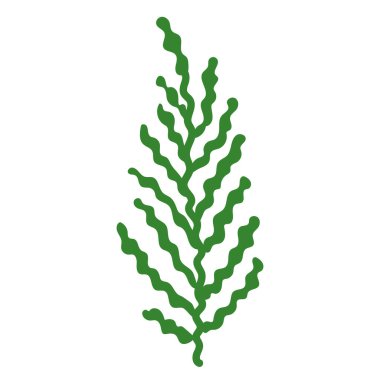 Bahar ve yaz tasarımları için mükemmel yalıtılmış yapraklar. Canlı botanik çizimi.