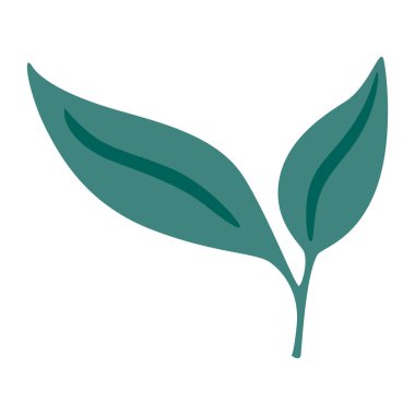 Beyaz arka plandaki zarif yeşil yaprak, doğadaki canlılığı ve uyumu sembolize ediyor..