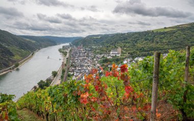 Oberwesel 'in panoramik görüntüsü Ren nehrine yakın, Ren Vadisi, Almanya