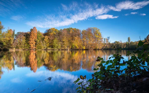 德国伯吉斯奇格拉德巴赫美丽而田园诗般的班贝格湖全景图像 — 图库照片