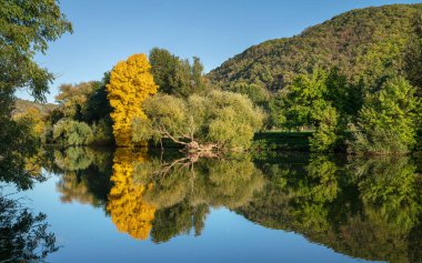 Moselle Nehri 'nin sonbahar günündeki panoramik görüntüsü, Rhineland-Palatinate, Almanya