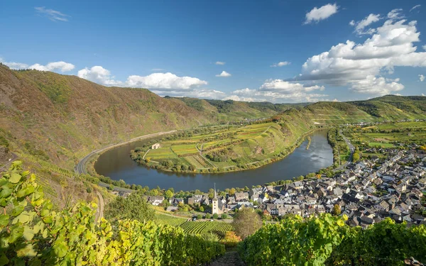 Πανοραμική Εικόνα Του Brem Βρόχο Του Ποταμού Moselle Γερμανία — Φωτογραφία Αρχείου