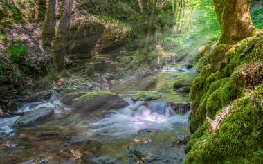 Eifel, Rhineland-Palatinate, Almanya 'daki Mistik Vadi' de çağlayan küçük bir derenin panoramik görüntüsü.