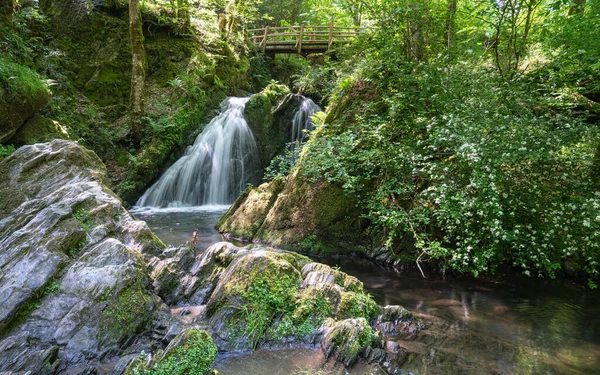 stock image Panoramic image of a small creek cascading through a mystic valley, Eifel area, Rhineland-Palatinate, Germany