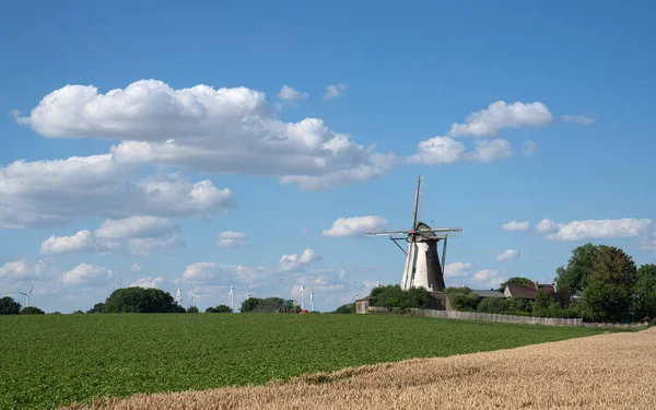 stock image Panoramic image of windmill, Bedburg, North Rhine Westphalia, Germany