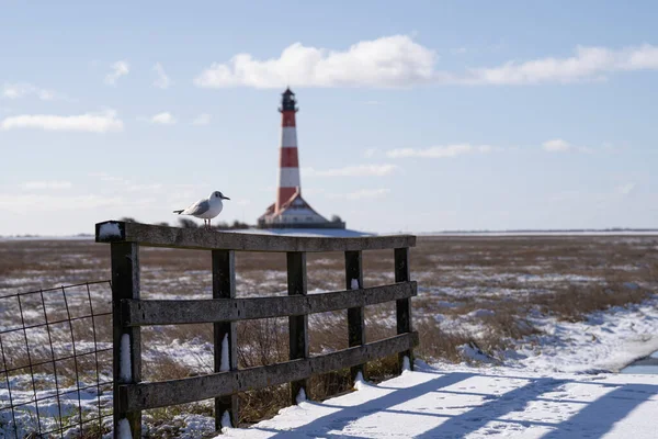 Image Panoramique Phare Westerhever Hiver Frise Nord Allemagne — Photo