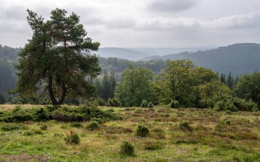 Vulkan Eifel, Rhineland-Palatinate, Almanya 'daki manzaranın panoramik görüntüsü