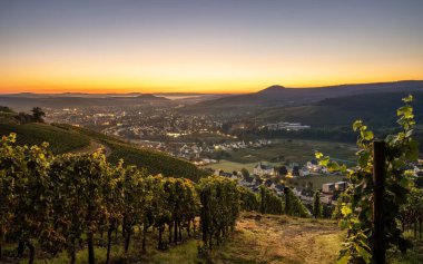 Sonbaharda bağların panoramik görüntüsü, Ahr, Rhineland-Palatinate, Almanya