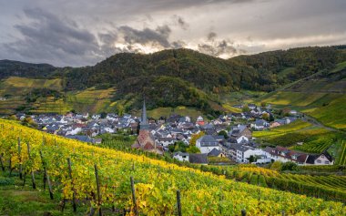 Sonbaharda Mayschoss, Ahr, Rhineland-Palatinate, Almanya yakınlarındaki vinyard panoramik görüntüsü