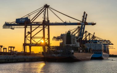 HAMBURG, GERMANY - 22 Ağustos 2023: Konteyner gemisi Henrika Schulte 22 Ağustos 2023 'te Almanya' da Hamburg limanında