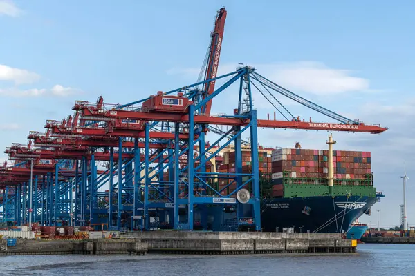 HAMBURG, GERMANY - 23 Ağustos 2023: Konteyner gemisi HMM Le Havre 23 Ağustos 2023 'te Almanya' da Hamburg limanında