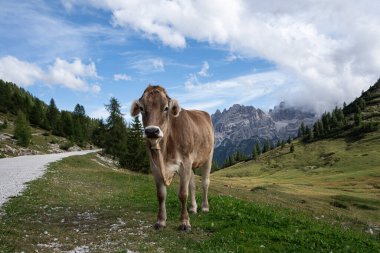 Güney Tirol 'ün ünlü Prag Vadisi, İtalya ve Avrupa' daki manzarasının panoramik görüntüsü