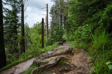 Bahar, Belçika ve Avrupa 'da High Fens' in panoramik manzarası