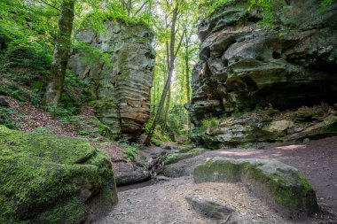 Trier, Eifel, Rhineland-Palatinate, Almanya 'ya yakın panoramik manzara