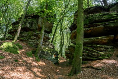Trier, Eifel, Rhineland-Palatinate, Almanya 'ya yakın panoramik manzara