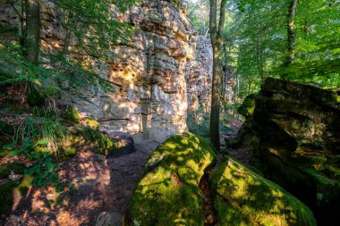 Trier, Eifel, Rhineland-Palatinate, Almanya 'ya yakın panoramik manzara