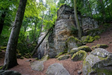 Trier, Eifel, Rhineland-Palatinate, Almanya 'ya yakın panoramik manzara