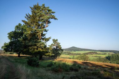 Eifel manzarası, Rhineland-Palatinate, Almanya