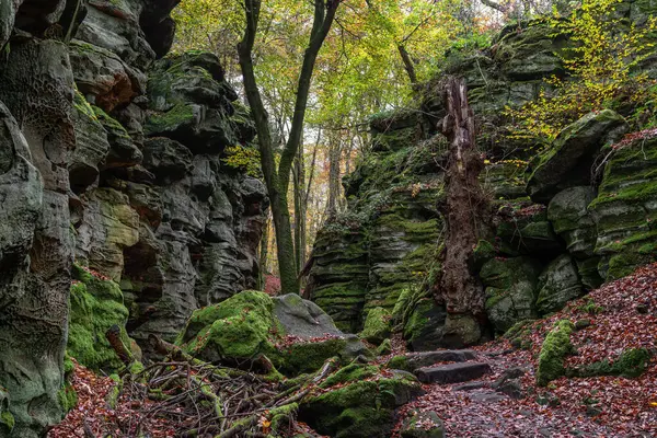 Trier, Eifel, Rhineland-Palatinate, Almanya 'ya yakın panoramik manzara