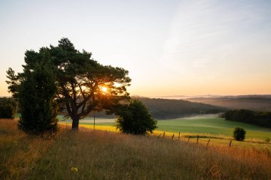 Güneş doğarken Blankenheim 'a yakın Eifel' deki yaz manzarasının panoramik görüntüsü, Kuzey Ren Vestfalyası, Almanya
