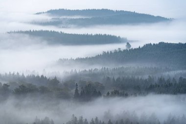Güzel manzaranın panoramik görüntüsü, Eifel, Rhineland-Palatinate, Almanya