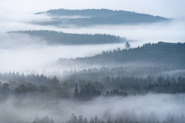 Adenau, Eifel, Rhineland-Palatinate, Almanya yakınlarındaki güzel manzaranın panoramik görüntüsü