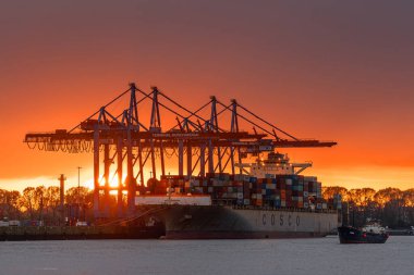 Hamburg, Almanya - 14 Ekim 2024: Hamburg Limanı 14 Ekim 2024, Almanya