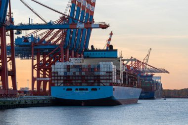 Hamburg, Almanya - 15 Ekim 2024: Konteyner gemisi Maersk El Palomar 15 Ekim 2024 'te Almanya' da Hamburg limanında