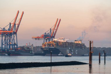 Hamburg, Almanya - 15 Ekim 2024: Konteyner gemisi MSC Trieste 15 Ekim 2024 'te Almanya' da Hamburg limanında