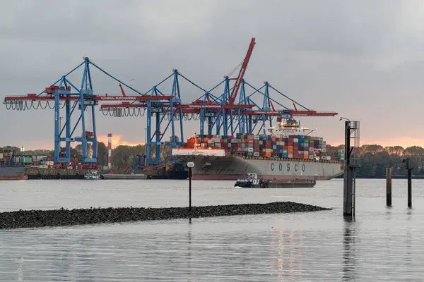 Hamburg, Almanya - 14 Ekim 2024: Konteyner gemisi Cosco Endonezya 14 Ekim 2024 'te Almanya' da Hamburg limanında