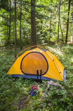 Ormanda kamp yapmak. Çadır ormandaki bir açıklıkta ağaçların arasında..