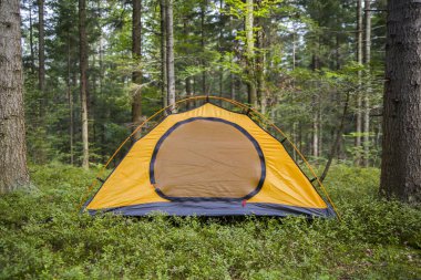 Ormanda kamp yapmak. Çadır ormandaki bir açıklıkta ağaçların arasında..