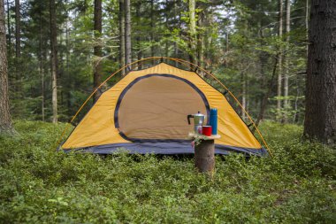 Ormanda kamp yapmak. Çadır ormandaki bir açıklıkta ağaçların arasında..