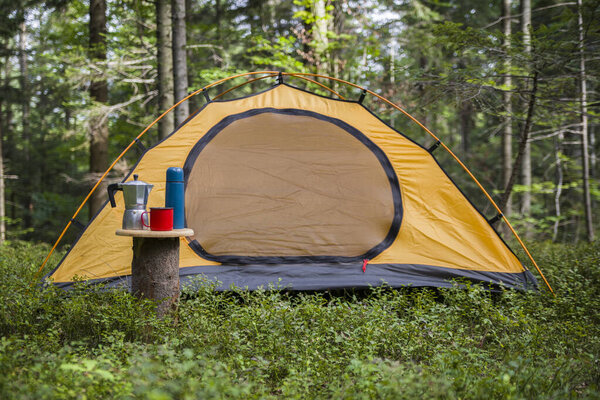 Camping in the forest. The tent is in a clearing in the forest among the trees.