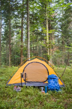Ormanda kamp yapmak. Çadır ormandaki bir açıklıkta ağaçların arasında..