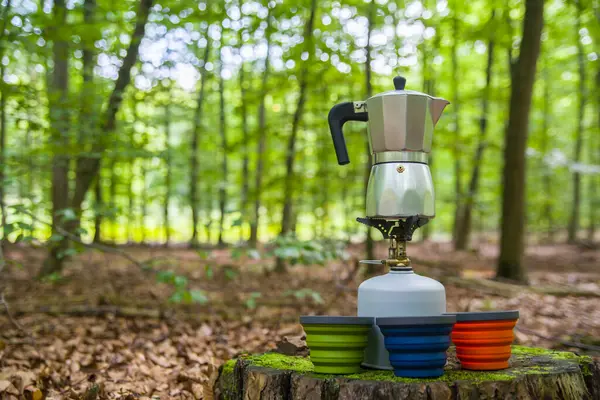 Ormanda piknik. Ormanın ortasında bir kütükte kahve yapmak..