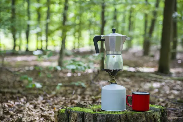 Ormanda piknik. Ormanın ortasında bir kütükte kahve yapmak..