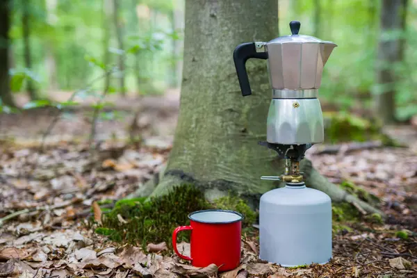 Ormanda piknik. Ormanın ortasında bir kütükte kahve yapmak..