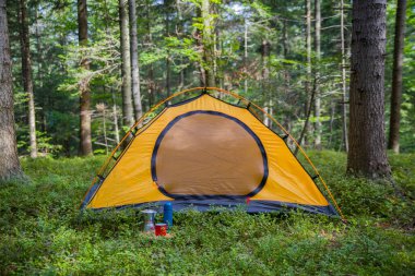 Ormanda kamp yapmak. Çadır ormandaki bir açıklıkta ağaçların arasında..