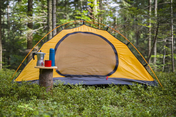 Camping in the forest. The tent is in a clearing in the forest among the trees.
