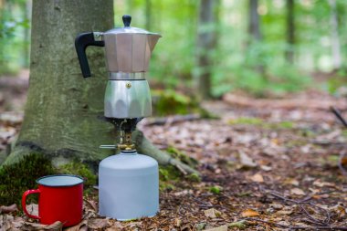 Ormanda piknik. Ormanın ortasında kahve yapmak..