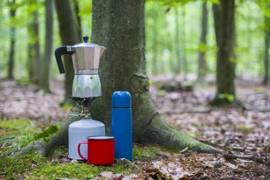 Ormanda piknik. Ormanın ortasında kahve yapmak..