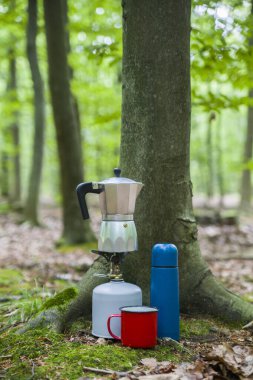 Ormanda piknik. Ormanın ortasında kahve yapmak..