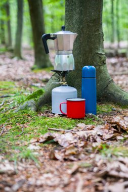 Ormanda piknik. Ormanın ortasında kahve yapmak..